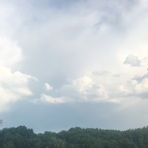 Meet your Posher, Jade